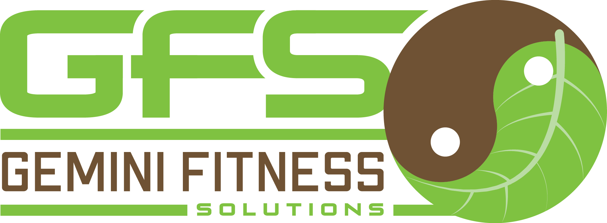 Gemini Fitness Solutions Logo